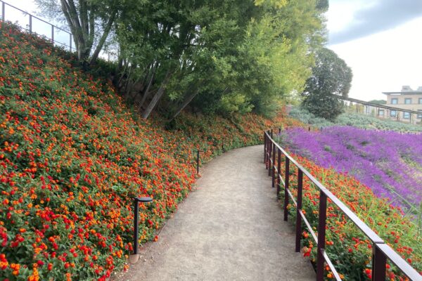 La Nuova Passeggiata Fa Schifo!